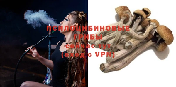 прущие грибы Алексин
