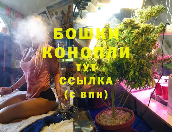 дурь Алексеевка
