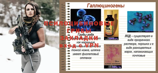 хмурый Алзамай