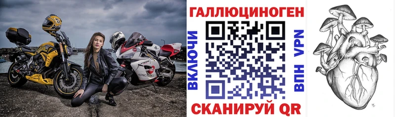 где найти наркотики  Покров  Псилоцибиновые грибы Magic Shrooms 